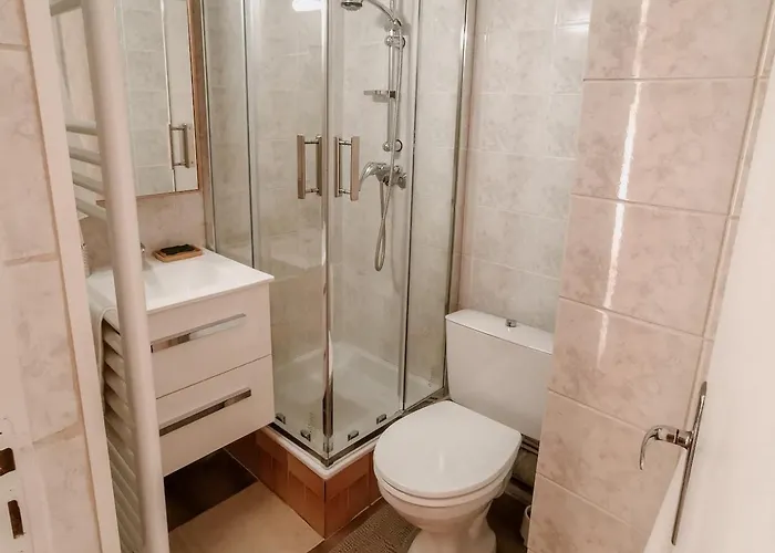 T2 Climatise Et Cosy Apartment *