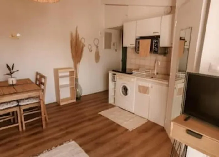 Apartment T2 Climatise Et Cosy Agde